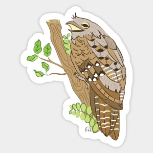 Frogmouth Sticker